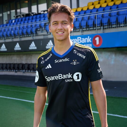 Tredjetrøye Players Edition