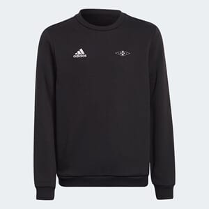 Entrada 22 Sweat Overdel Jr.